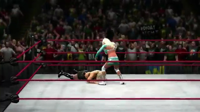 Kelly_Kelly_hits_her_finisher_in_WWE__13_28Official29_mp4_000016416.jpg