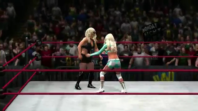 Kelly_Kelly_hits_her_finisher_in_WWE__13_28Official29_mp4_000018284.jpg