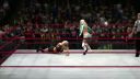 Kelly_Kelly_hits_her_finisher_in_WWE__13_28Official29_mp4_000023023.jpg
