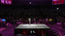 Kelly_Kelly_makes_her_entrance_in_WWE__13_28Official29_mp4_000037737.jpg