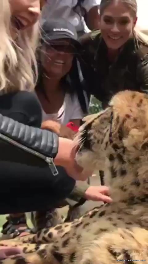 17330570_1994562837495464_4027127448884740096_n_02.jpg 17330570_1994562837495464_4027127448884740096_n_02.jpg