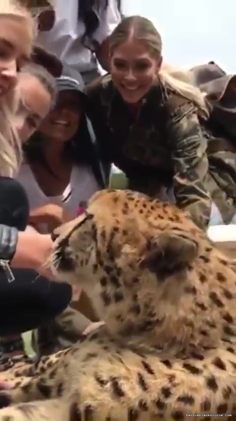 17330570_1994562837495464_4027127448884740096_n_09.jpg 17330570_1994562837495464_4027127448884740096_n_09.jpg