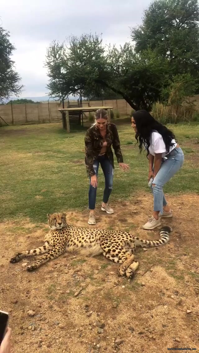 19139288_216128492258566_7170489256912093184_n_02.jpg 19139288_216128492258566_7170489256912093184_n_02.jpg