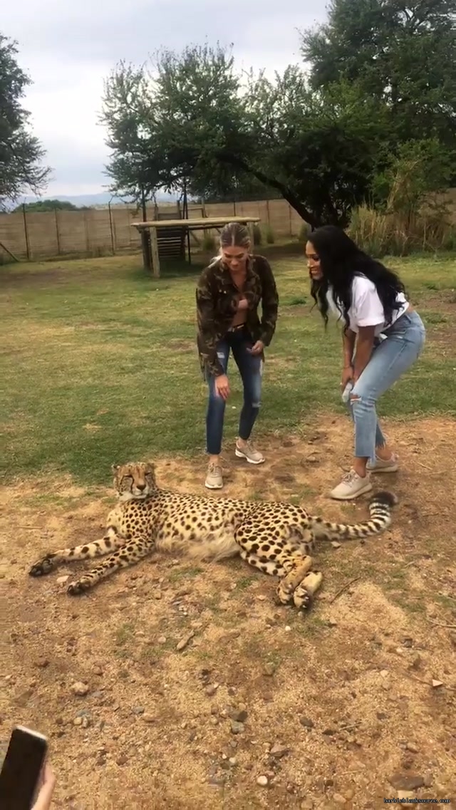 19139288_216128492258566_7170489256912093184_n_05.jpg 19139288_216128492258566_7170489256912093184_n_05.jpg