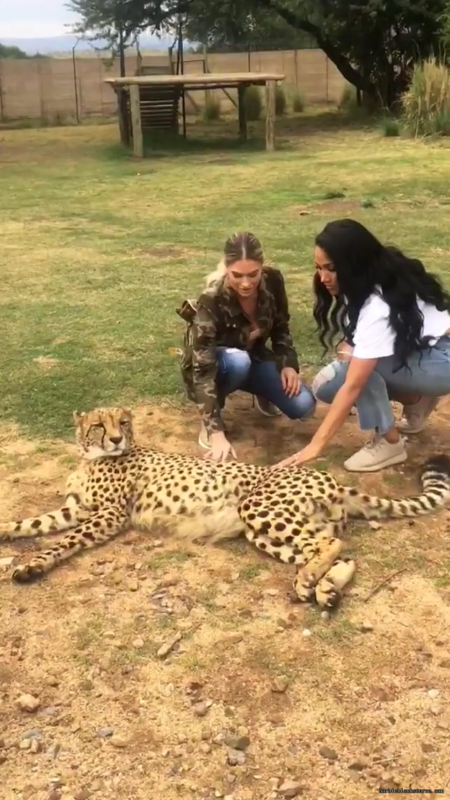 19139288_216128492258566_7170489256912093184_n_19.jpg 19139288_216128492258566_7170489256912093184_n_19.jpg