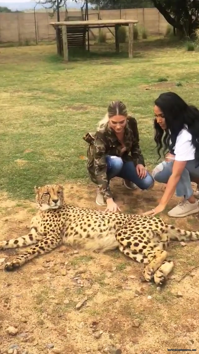 19139288_216128492258566_7170489256912093184_n_20.jpg 19139288_216128492258566_7170489256912093184_n_20.jpg