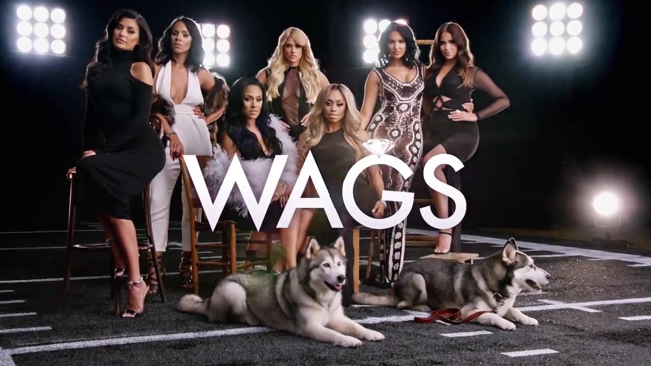 WAGS---WAGS---The-Pack-fbdown_net_172.jpg