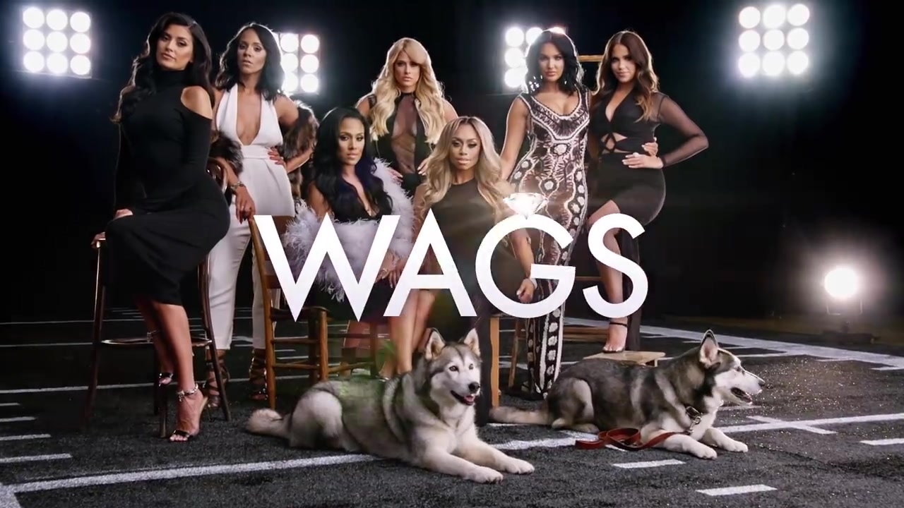 WAGS---WAGS---The-Pack-fbdown_net_173.jpg