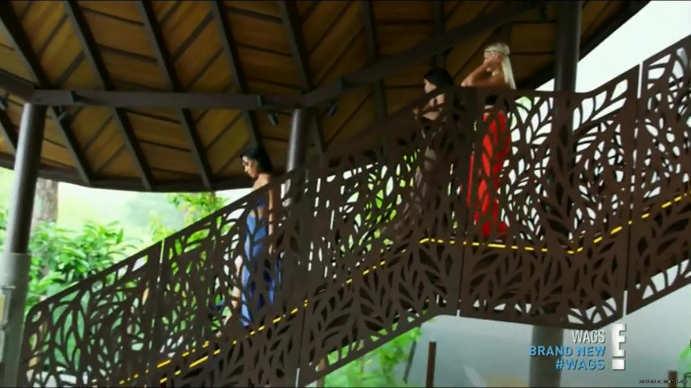 WAGS_S02E11_Trouble_in_Paradise_HDTV_x264-RBB_2540.jpg