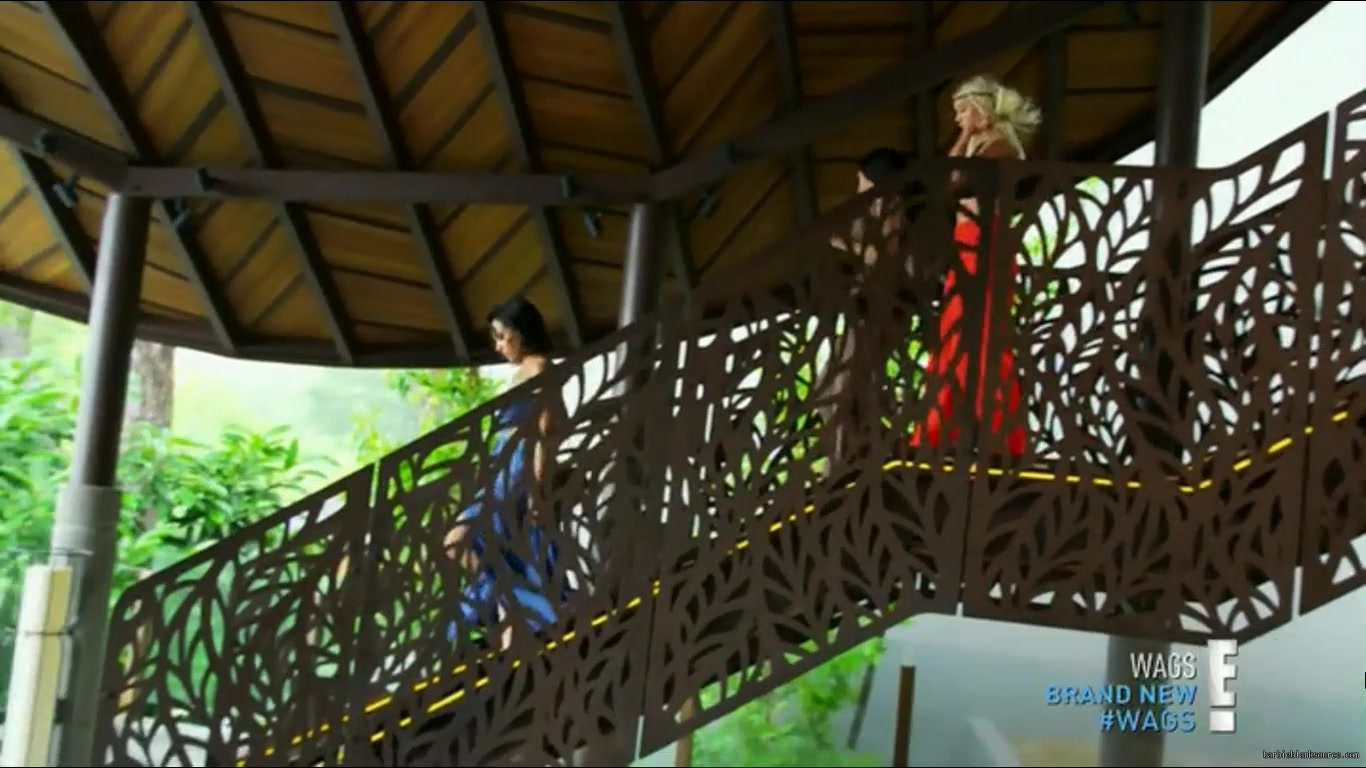 WAGS_S02E11_Trouble_in_Paradise_HDTV_x264-RBB_2541.jpg