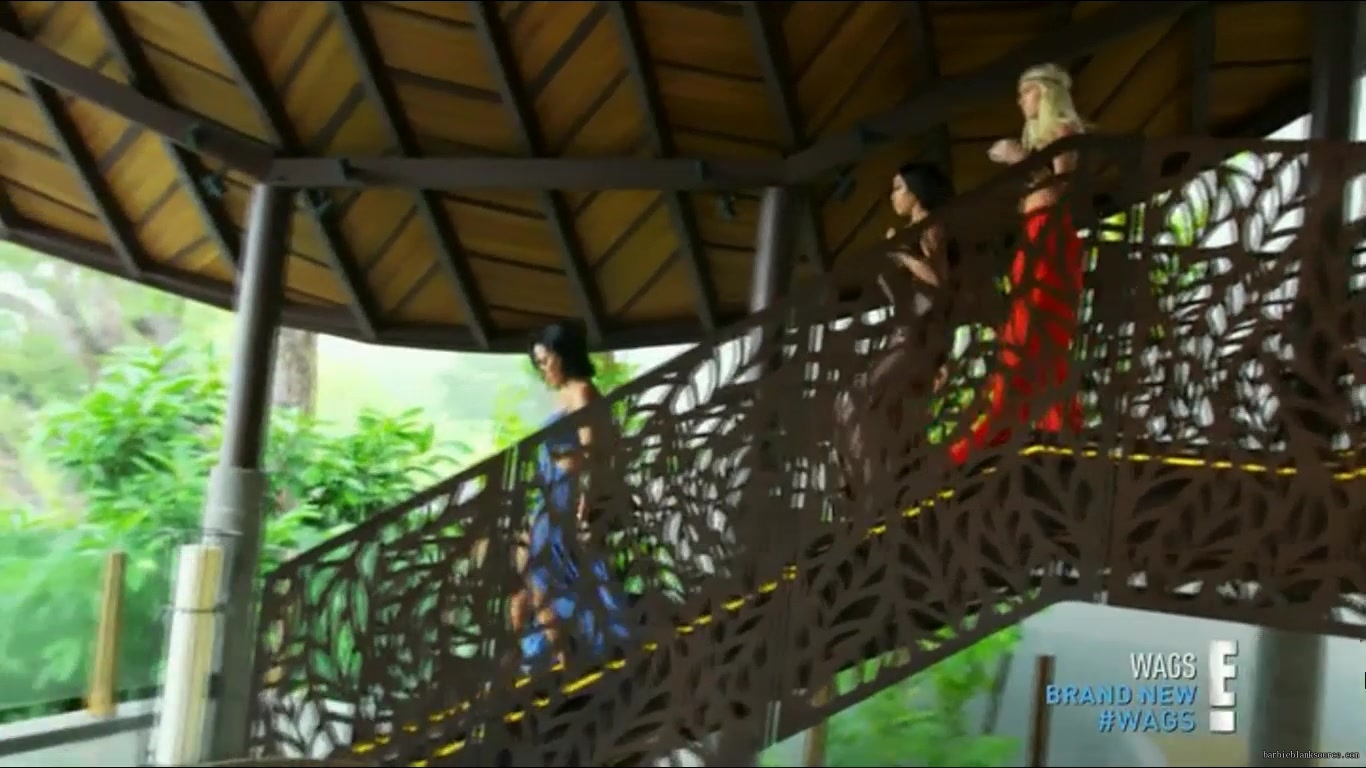 WAGS_S02E11_Trouble_in_Paradise_HDTV_x264-RBB_2543.jpg