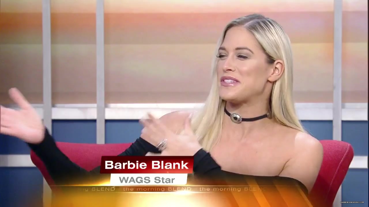 WAGS_Star_Barbie_Blank_62216_310.jpg