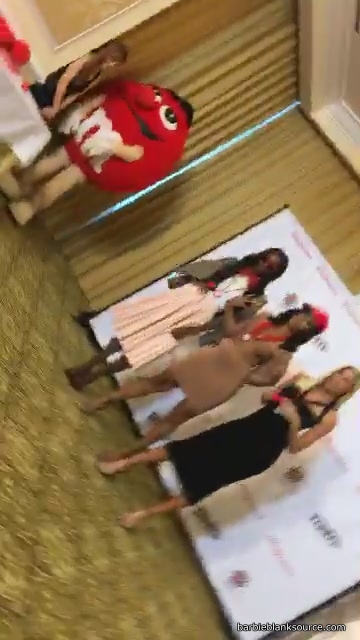 snap_28429_029.jpg