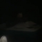 12592843_623994184408344_8514966_n_049.jpg