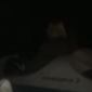 12592843_623994184408344_8514966_n_100.jpg