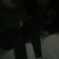 12605670_1552321185084985_2025870447_n_044.jpg
