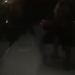 12608865_928787197198697_1602444985_n_195.jpg