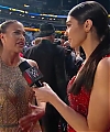 WWE_HALL_OF_FAME_2017_RED_CARPET_MARCH_312C_2017_100.jpg