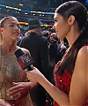 WWE_HALL_OF_FAME_2017_RED_CARPET_MARCH_312C_2017_101.jpg