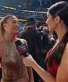 WWE_HALL_OF_FAME_2017_RED_CARPET_MARCH_312C_2017_141.jpg