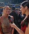 WWE_HALL_OF_FAME_2017_RED_CARPET_MARCH_312C_2017_148.jpg