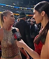 WWE_HALL_OF_FAME_2017_RED_CARPET_MARCH_312C_2017_158.jpg