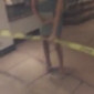 video-1458287864_13.jpg