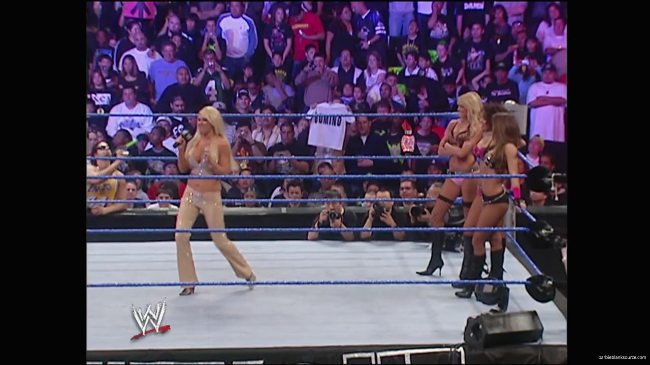 WWE_No_Way_Out_2007_Divas_Segment_mp41054.jpg