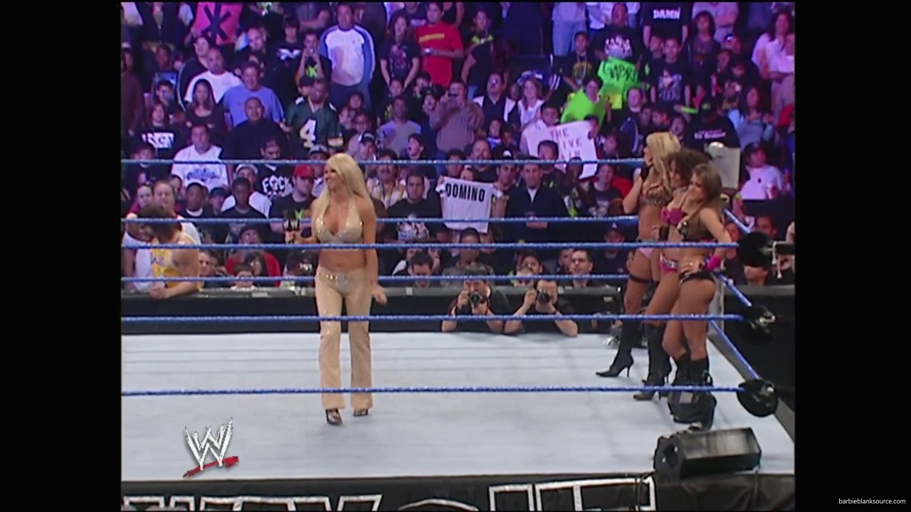 WWE_No_Way_Out_2007_Divas_Segment_mp41064.jpg