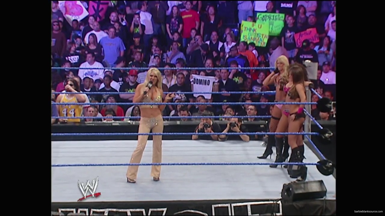 WWE_No_Way_Out_2007_Divas_Segment_mp41073.jpg