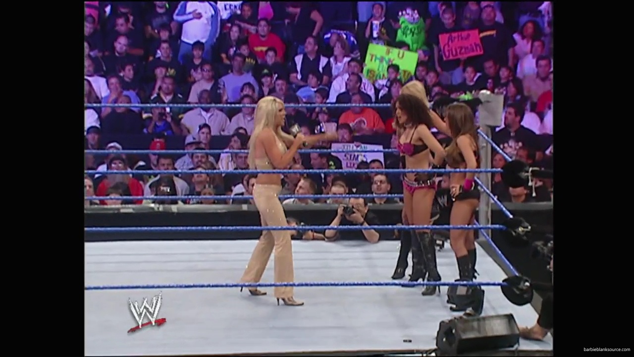 WWE_No_Way_Out_2007_Divas_Segment_mp41204.jpg