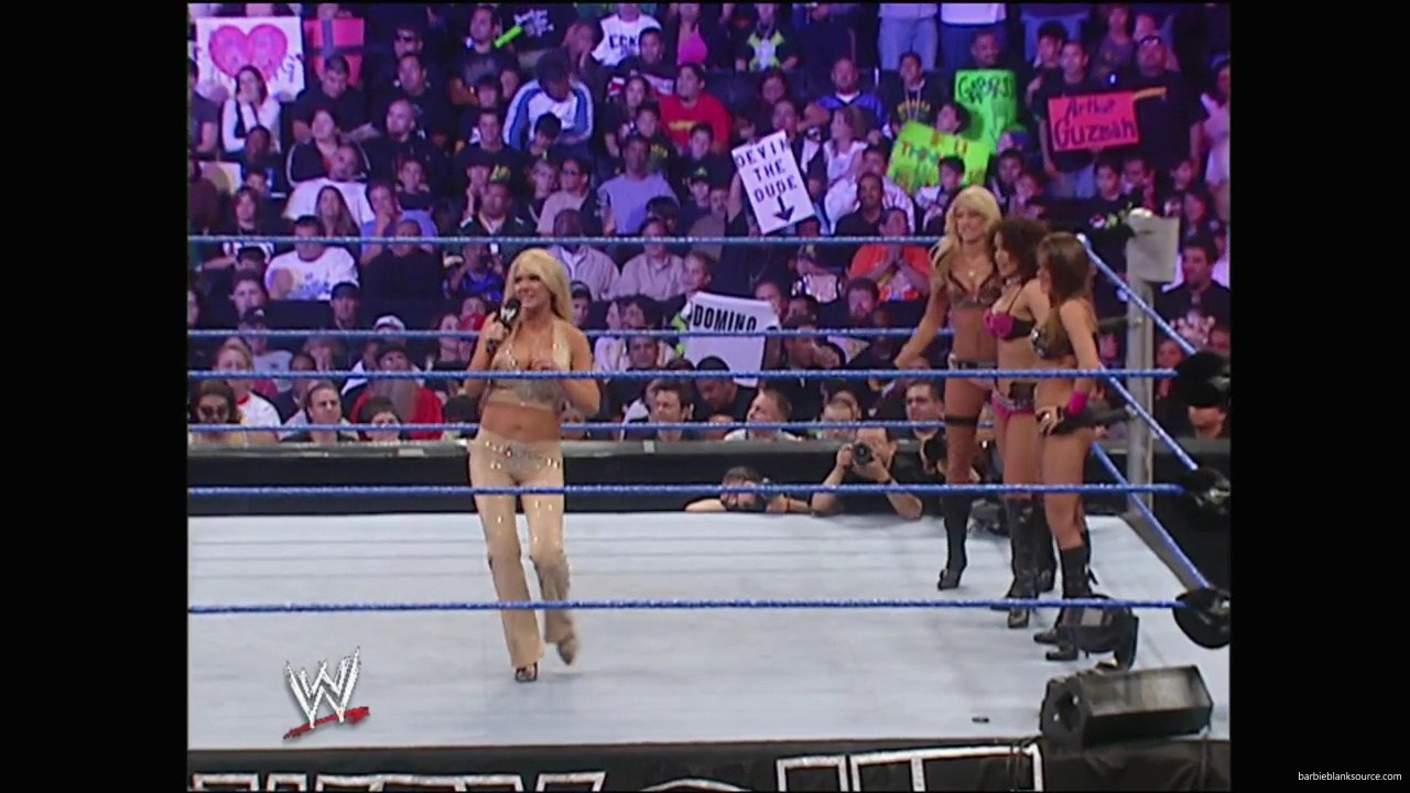 WWE_No_Way_Out_2007_Divas_Segment_mp41214.jpg