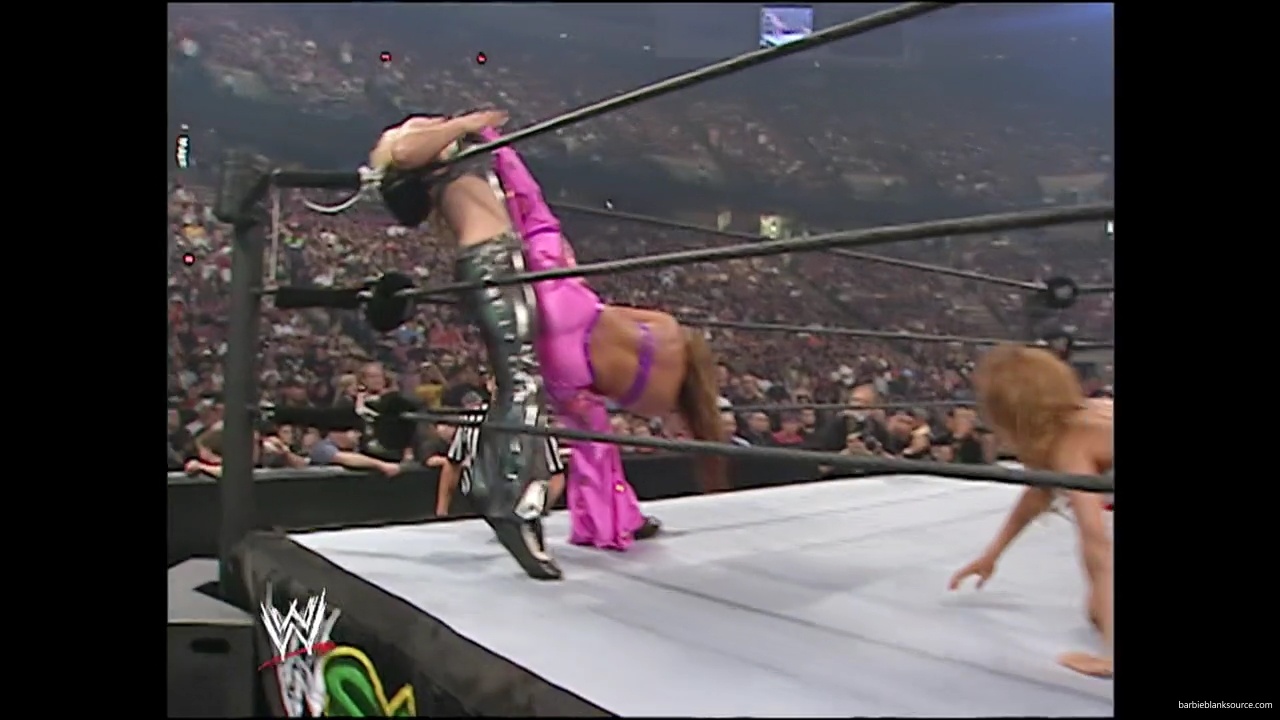 WWE_Summerslam_2007_Divas_Battle_Royal_mp40179.jpg