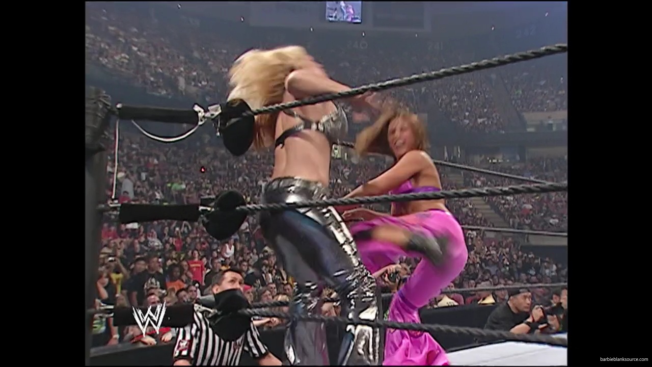 WWE_Summerslam_2007_Divas_Battle_Royal_mp40181.jpg