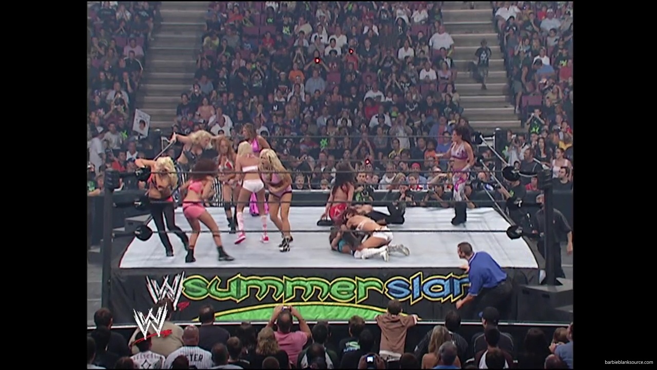 WWE_Summerslam_2007_Divas_Battle_Royal_mp40183.jpg