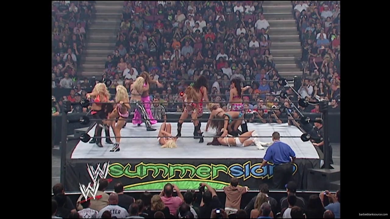 WWE_Summerslam_2007_Divas_Battle_Royal_mp40187.jpg