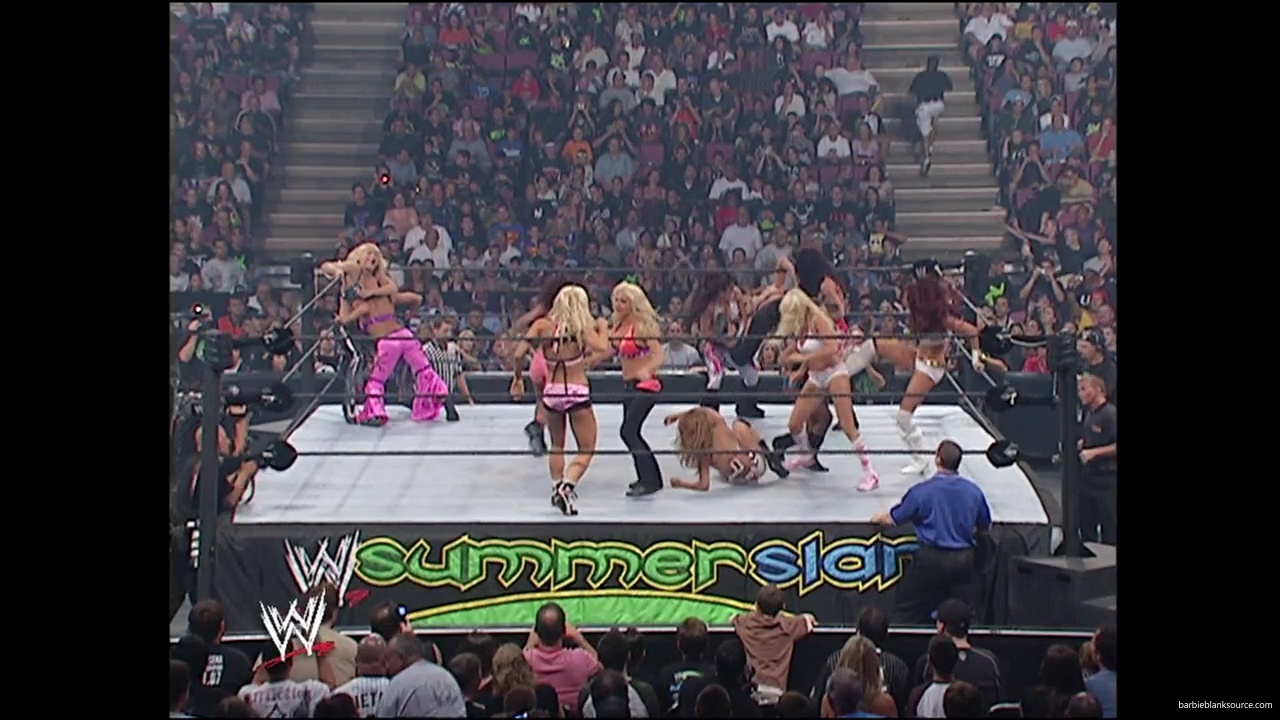 WWE_Summerslam_2007_Divas_Battle_Royal_mp40206.jpg