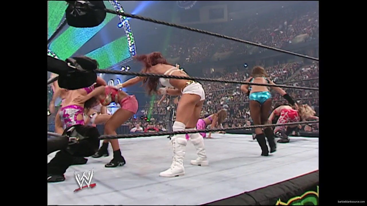 WWE_Summerslam_2007_Divas_Battle_Royal_mp40217.jpg