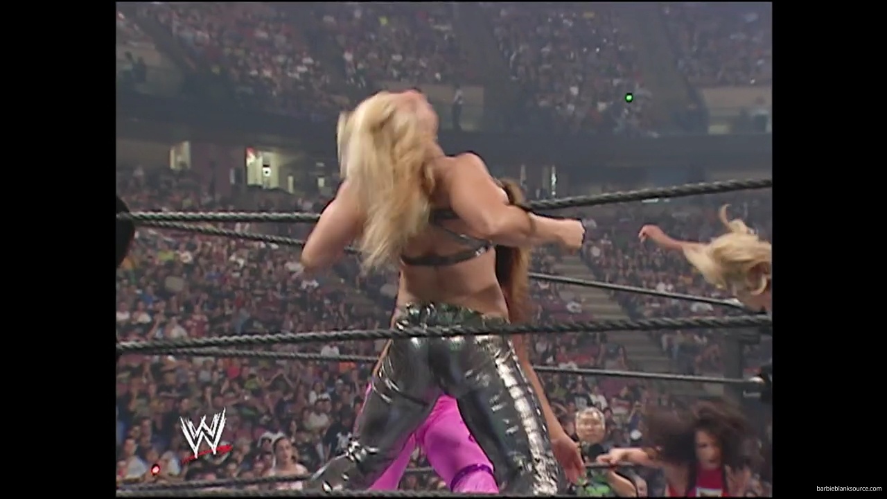 WWE_Summerslam_2007_Divas_Battle_Royal_mp40232.jpg