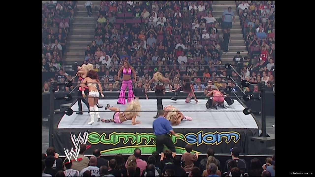 WWE_Summerslam_2007_Divas_Battle_Royal_mp40234.jpg