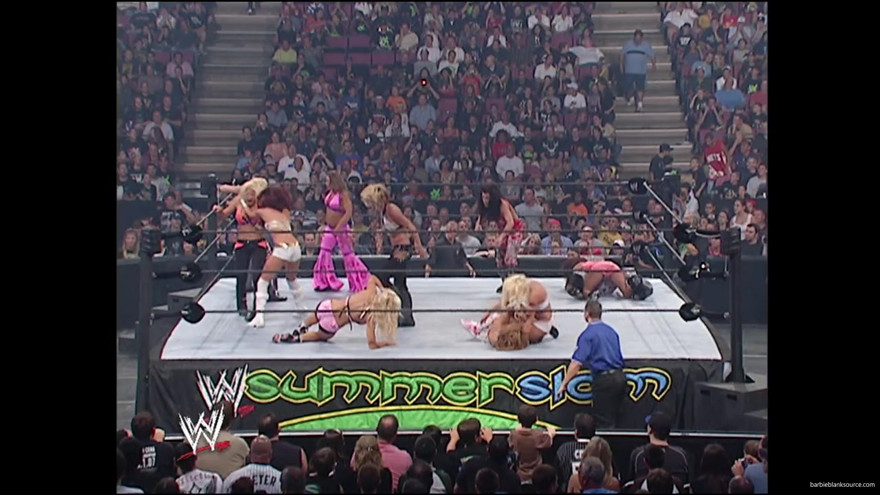 WWE_Summerslam_2007_Divas_Battle_Royal_mp40235.jpg