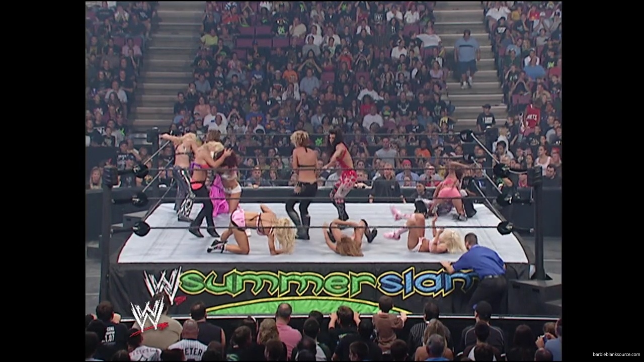 WWE_Summerslam_2007_Divas_Battle_Royal_mp40236.jpg