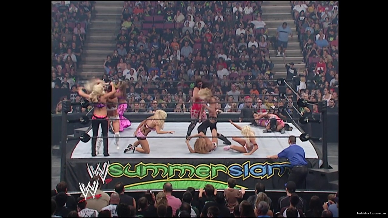 WWE_Summerslam_2007_Divas_Battle_Royal_mp40237.jpg