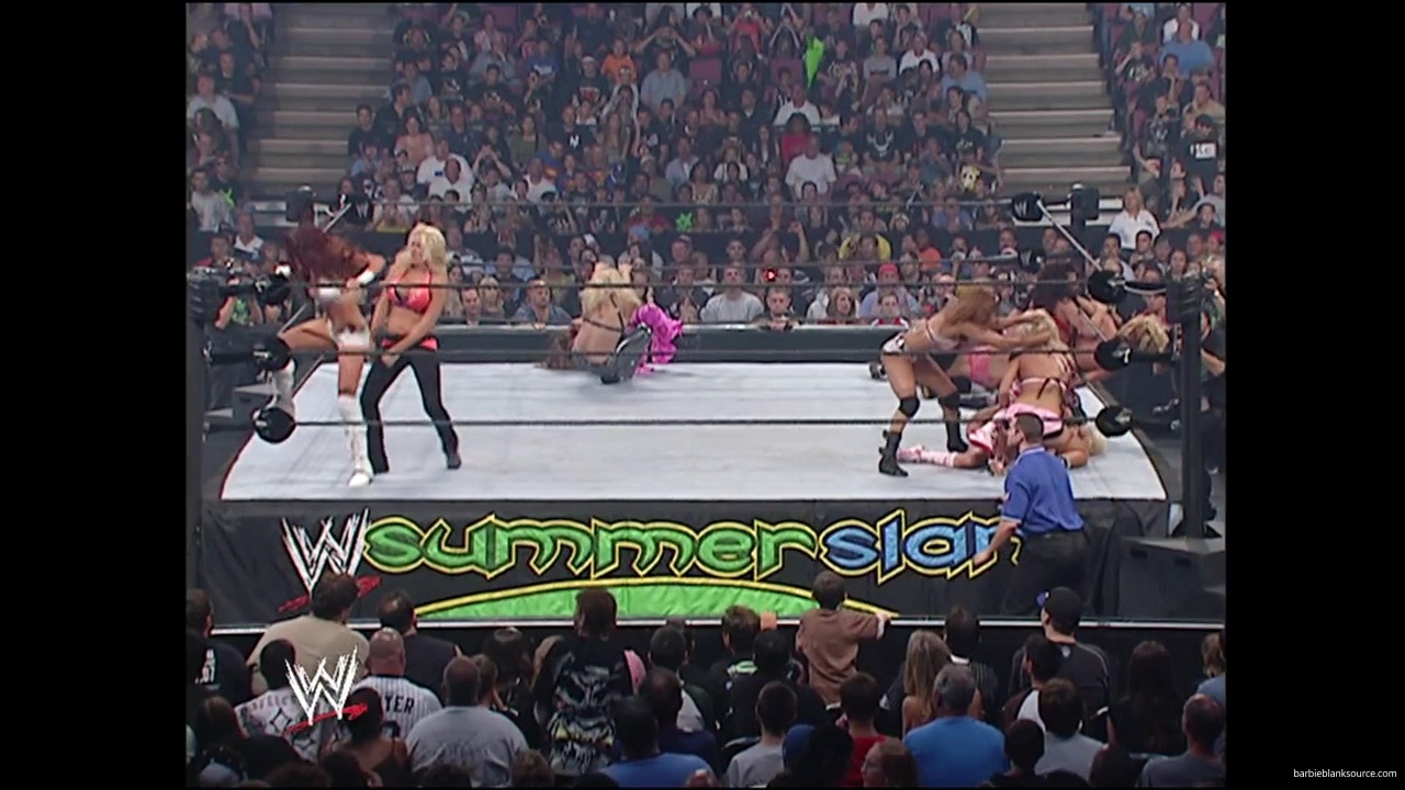 WWE_Summerslam_2007_Divas_Battle_Royal_mp40256.jpg