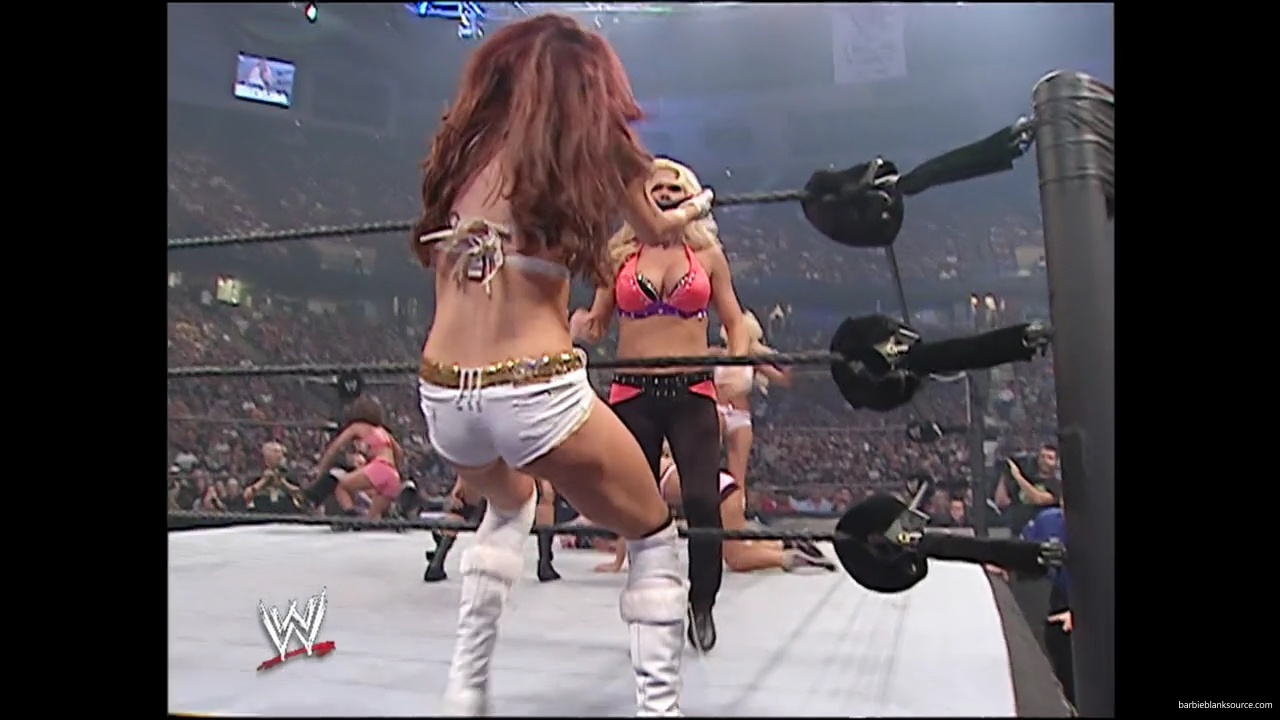 WWE_Summerslam_2007_Divas_Battle_Royal_mp40262.jpg