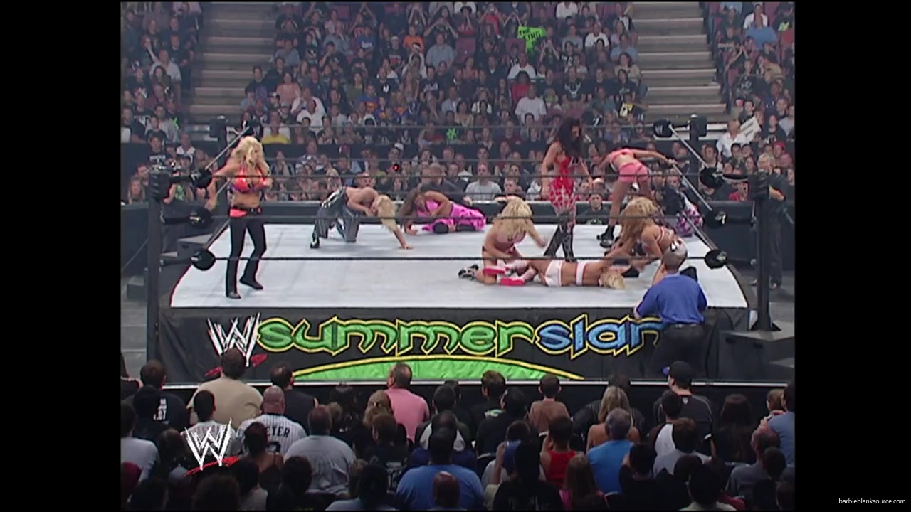 WWE_Summerslam_2007_Divas_Battle_Royal_mp40270.jpg