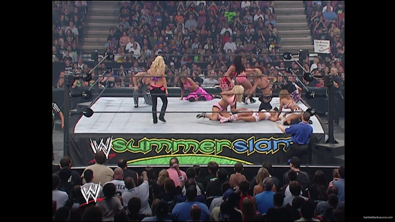 WWE_Summerslam_2007_Divas_Battle_Royal_mp40272.jpg