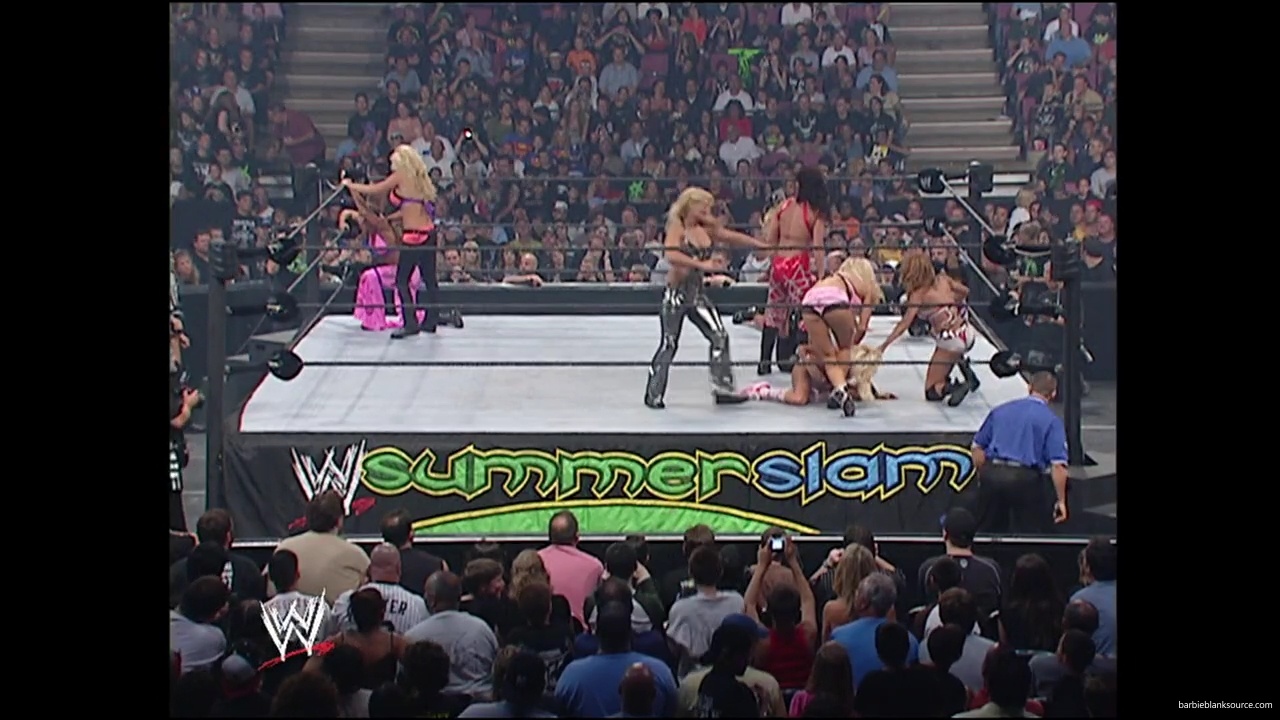 WWE_Summerslam_2007_Divas_Battle_Royal_mp40278.jpg