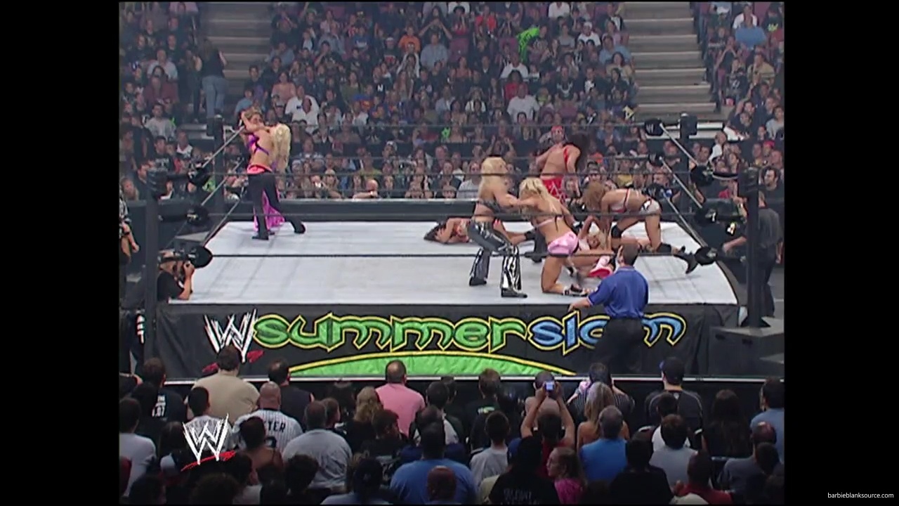 WWE_Summerslam_2007_Divas_Battle_Royal_mp40282.jpg