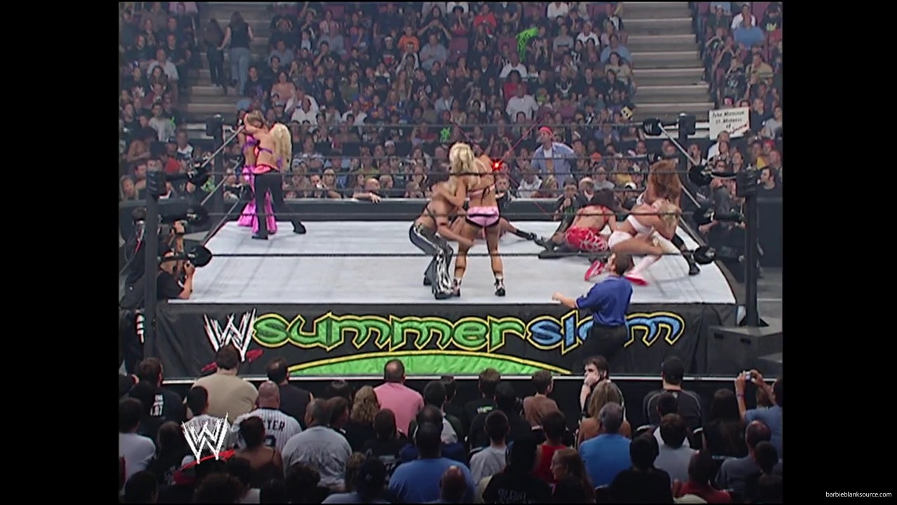 WWE_Summerslam_2007_Divas_Battle_Royal_mp40284.jpg